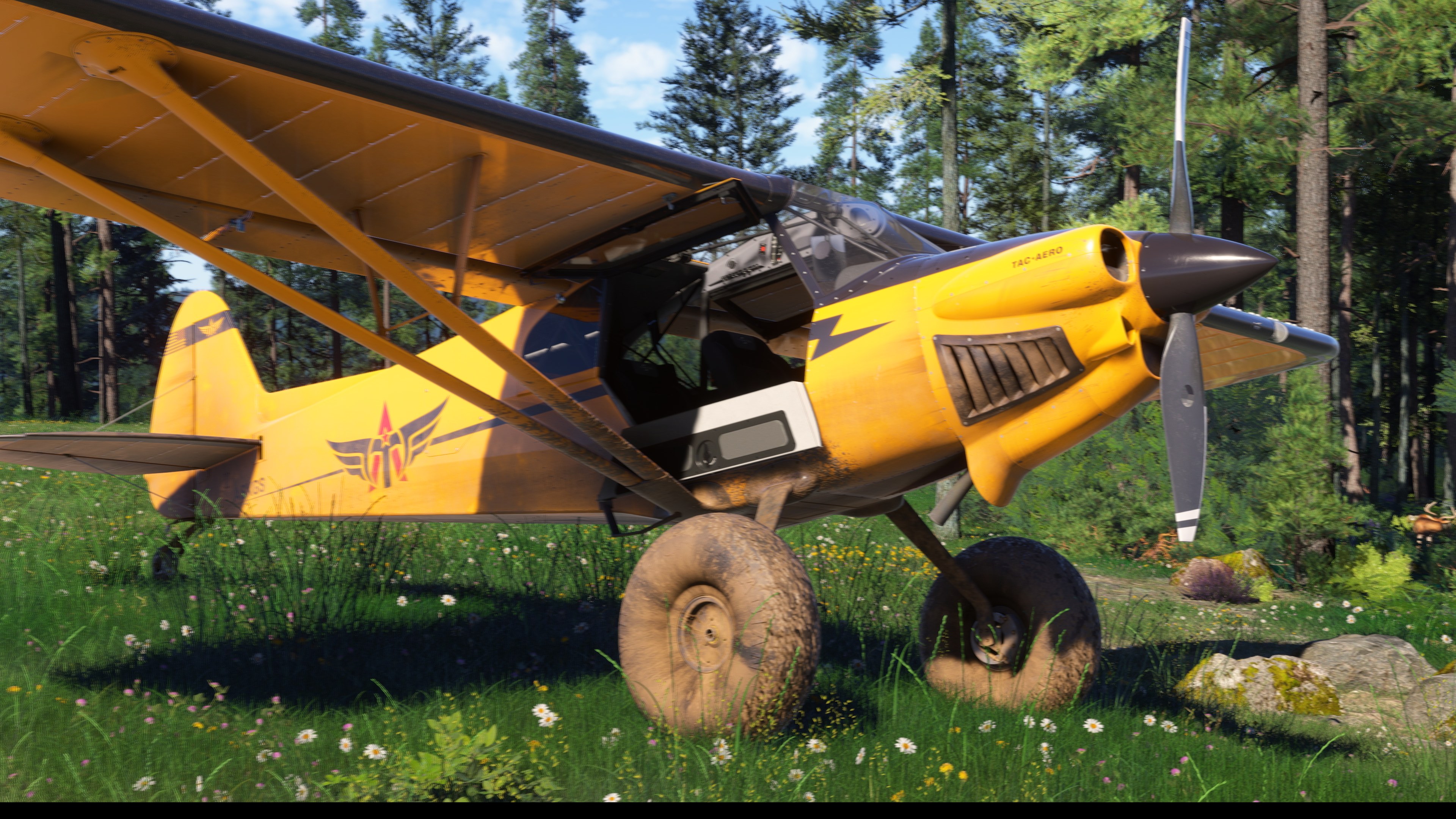 Microsoft Flight Simulator 2024 - Imagen 9